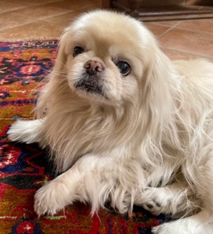 inscription 00058e7f7ee507a1fa588b354aa75d7b05016197637815d89f6c6578203d3f66i0