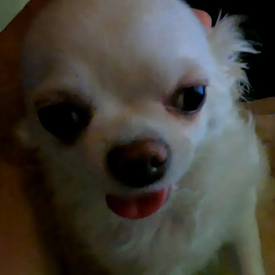 inscription 03fcf4287c6b19b3833f96e80b421072b91ee8a6022a34d46ebe3fcc33934ba6i0