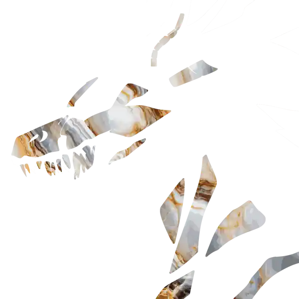 inscription 055cf9da1c62ccb8d7315ceda6fca2c2a3ebd3c6e9cd1ae2b9811e640ac7df3ei13