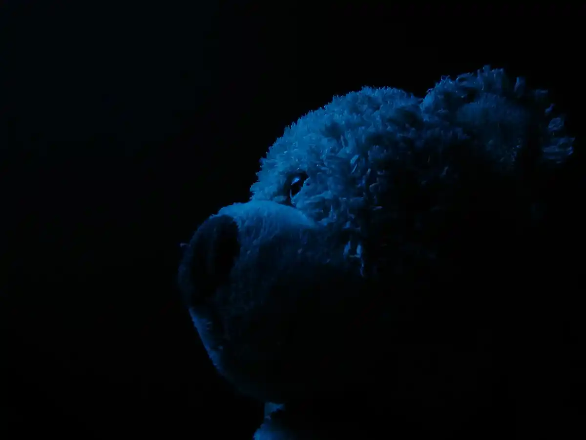 inscription 0d5486f71441f2f33adf2eed8b98ef196ad95c49d04d841a48e57780a4fca4e1i0