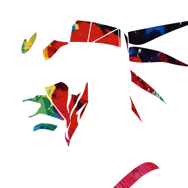 inscription 1202b3ea5fb6d46082b223c5ad630cde2f26dc0bc46d4b35e8a07d3df0d8fc11i21