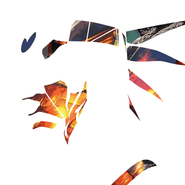 inscription 1202b3ea5fb6d46082b223c5ad630cde2f26dc0bc46d4b35e8a07d3df0d8fc11i22