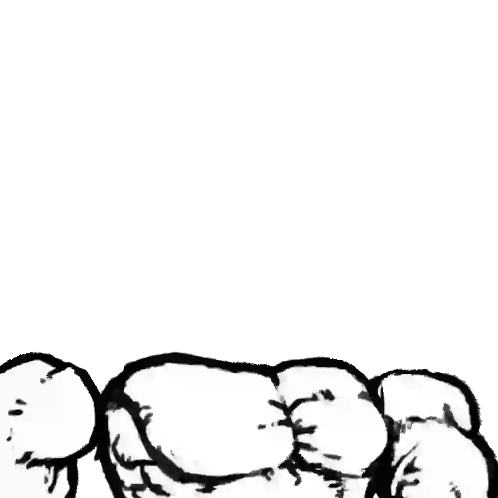 inscription 1246bff7c30d8658d5bbf3c0ce95211225fd6af61427fe90d93b76d934e0184ai3