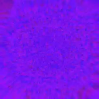 inscription 1a1c700e8115d0f0ee5cc1ebb3c13cb13e87c6ad3da1006e00a9be78cc2937f4i0