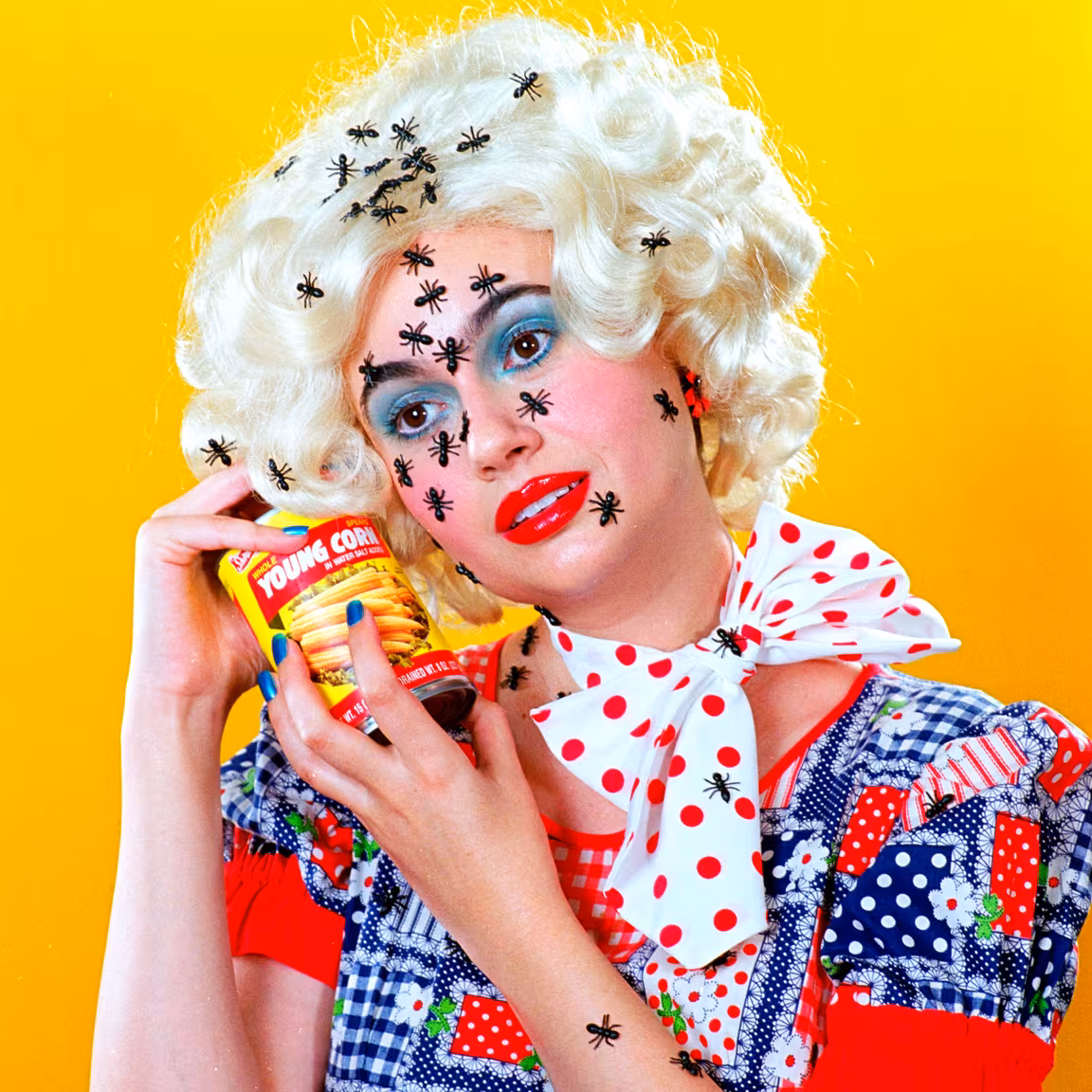 inscription 1a88a830d8811984aa286fd3643d962572bfe8a4a9048b1f4e0e7d6dc7a3b0bdi1