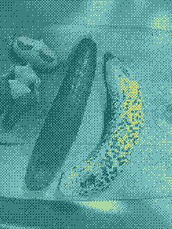 inscription 1c9d59ba5829a685184a3d7da31e3c5c2d0f75a6c0ff0e458913a8da49291431i0