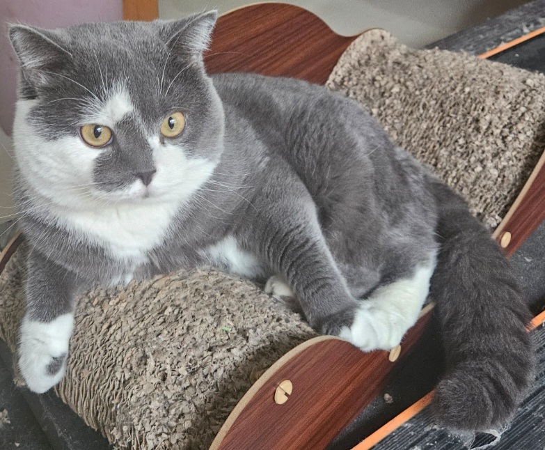 inscription 1cce80ff02a41451cbb5ec5c62837ae57bc2bfd42d36760f4e6c12adc3aff7e4i0