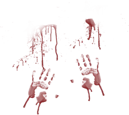 inscription 29fba8c6504e6452b2b92e76cc3bfbb09b704c9d672ebfc30d5a04a600e4ff60i0