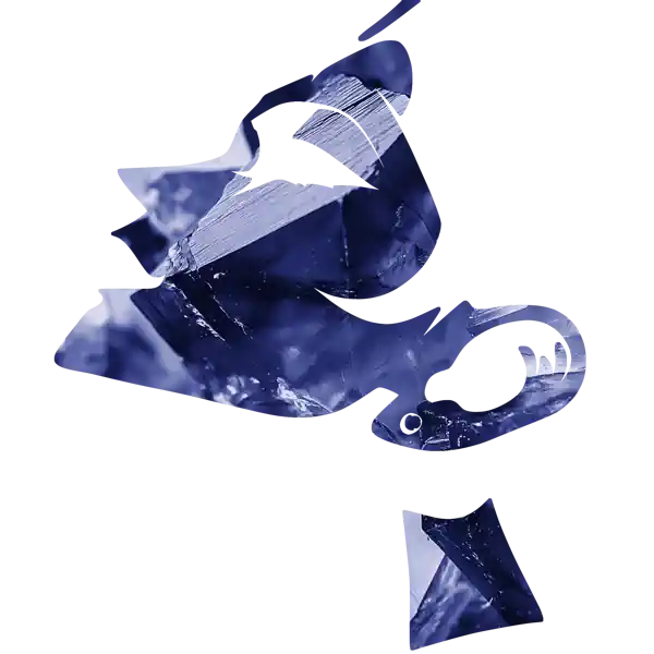 inscription 30b04032d78146bf5f1d2f4ecfa32d2ff25acd583870fe5874b58ea2a657deefi12