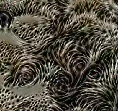 inscription 4a2361681d8670b7c5dfd63d347328d27b2860e4629c86a2f9d457cc2357e5cdi3