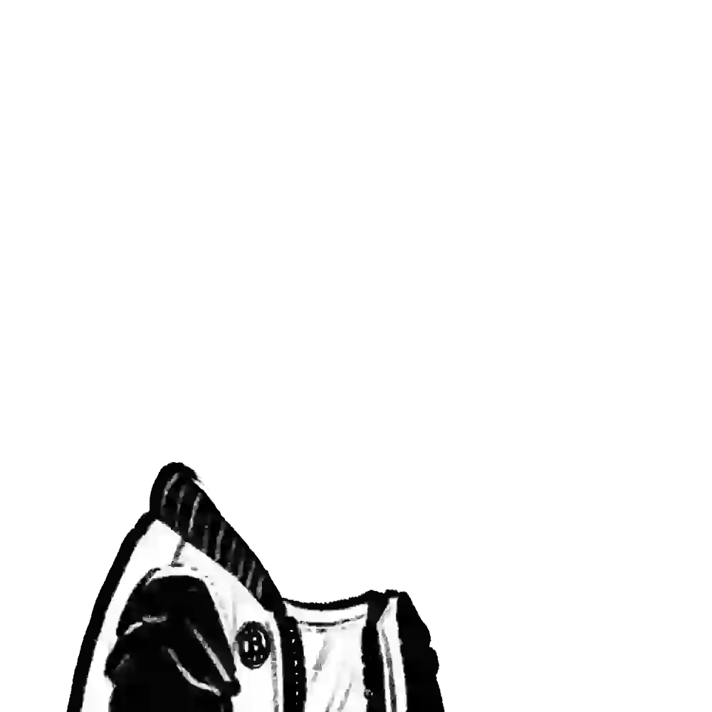 inscription 4c359897b246a8866610f3c2fd4d6296ca1c89f6d6ab253988c132ab2f4d4009i9