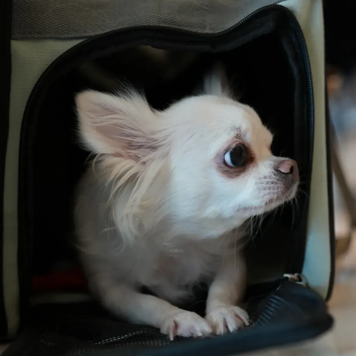 inscription 514fb068086c7f9ed2f4e72d48de7a7e7f49f8cb97cf68965cfcf2de98b54838i0