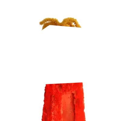 inscription 545f0570fb3c434db2396affcbce97cf928fa059141adac9bae3baf61c42cdb6i0