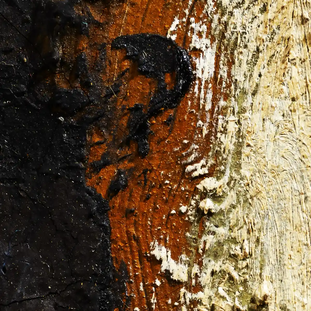 inscription 6542fb179f4d60649e7bce8d2c6b98ee78be96b5d9cfd4e5eaeca7966222e749i0