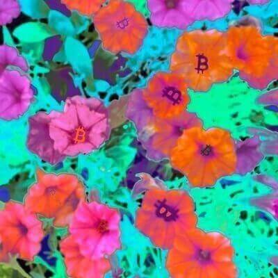 inscription 696c5087772bca0192f4e5ac9399e2443aee60ef589056c8dab25e3548a124eai0