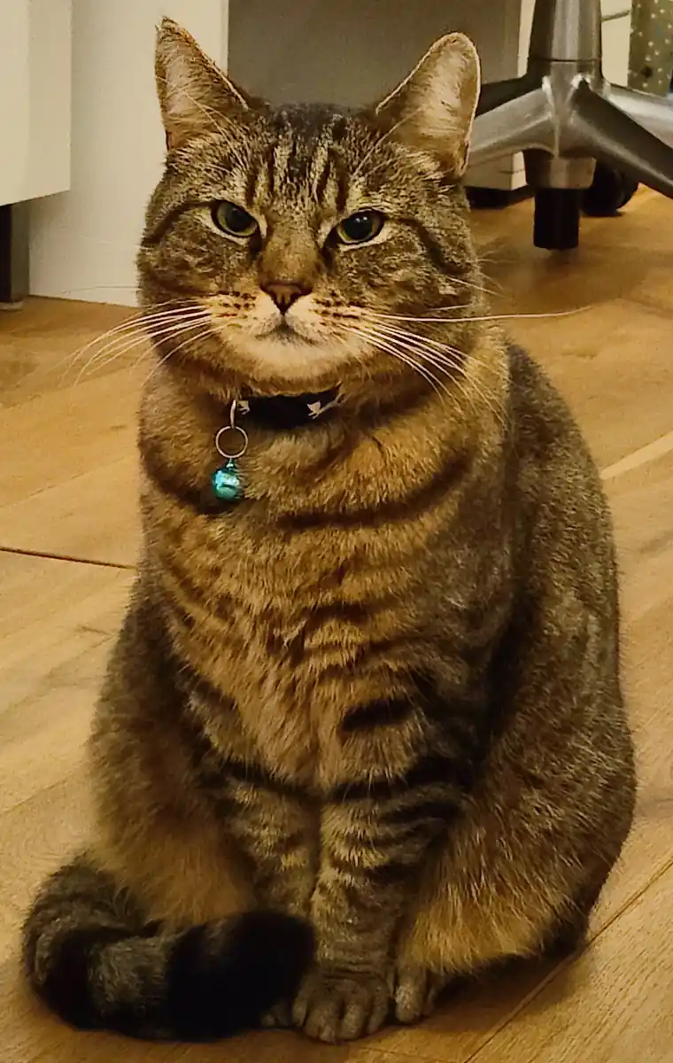 inscription 6f3e41ff9f119c3f4eb3651a599aec161f5094b23b204be03c08ac9dd4846fc4i0