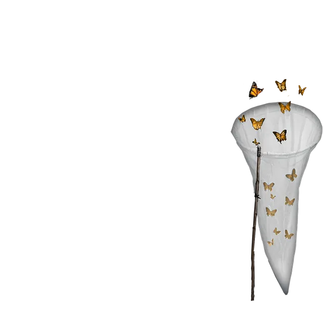 inscription 86982cabb1e912f38b801448ad4d5bd517b1fd8c187de2dcbaca6ec0a01c4940i0