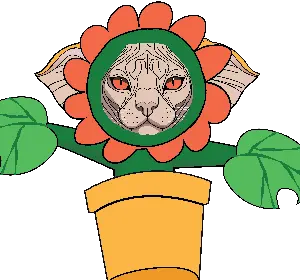 inscription 86d822e4ef8b817dd6d07262cb0d03a4d8e82c69f7c497580f63c94cac8ce84ai0