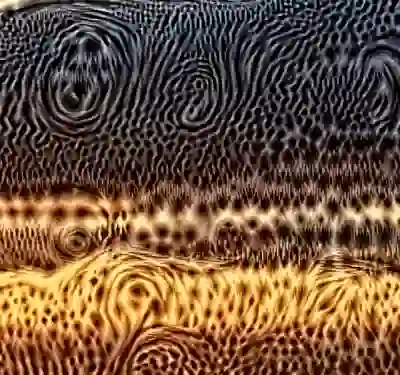 inscription 944dc3bf609ff628e4df5fcf024b4c38488a7f61de66531a397e76d362e85fcbi9