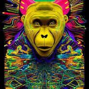 inscription 972cd46ecdd44869eec30bcf647b5d2d22edf8a8723a49da0819018e262b3a62i0