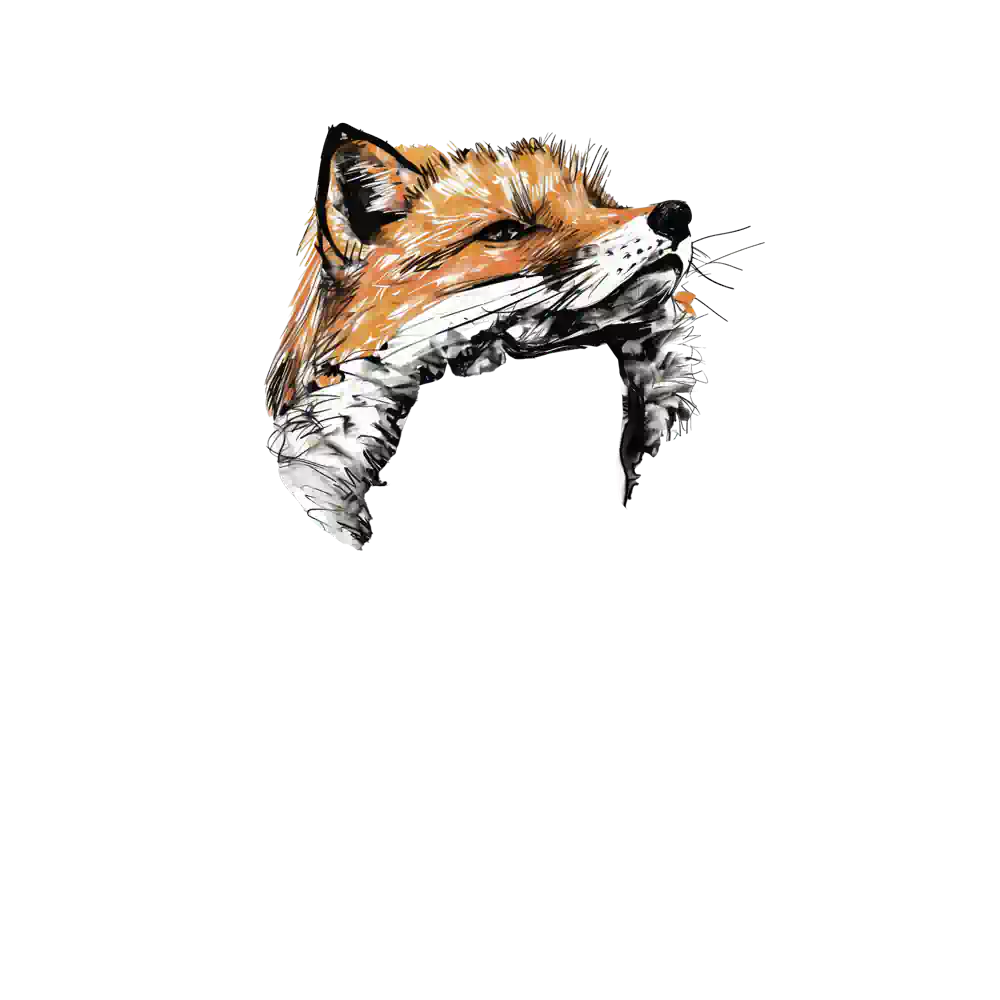 inscription 984013ece1bd56ccd4f11ab3d2e5ce288d11372db0001e02198fdf2eefaa707ai0