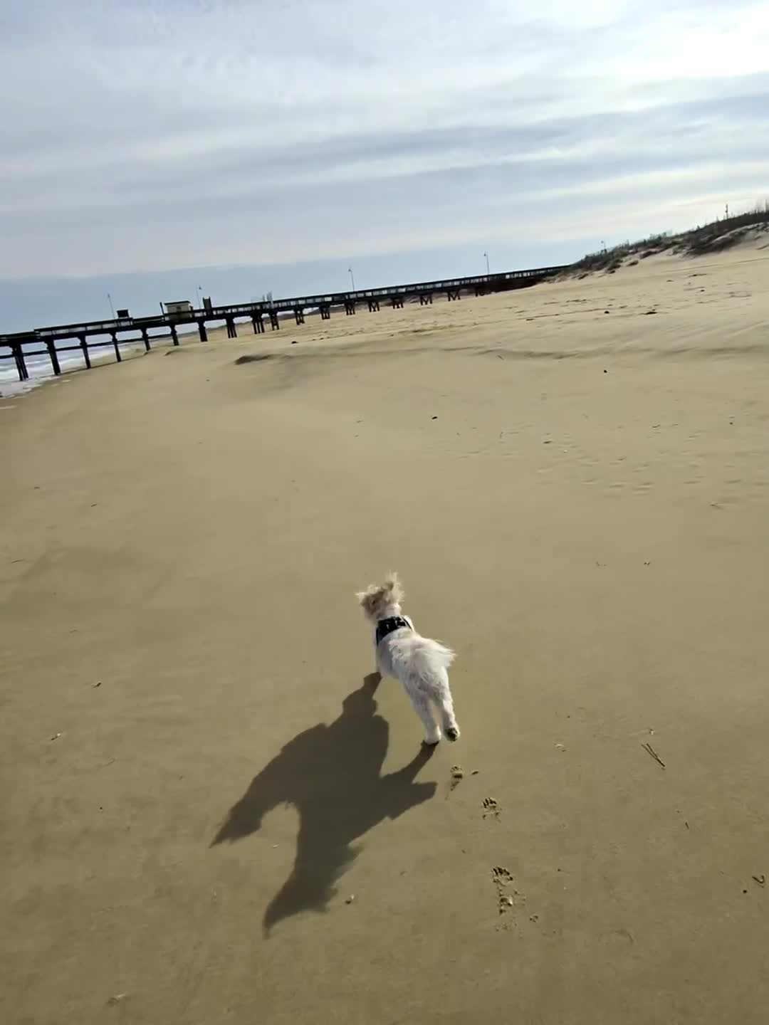 inscription 9cfcba587807fa71ac464286ef94669bb3beae54bddde6f5d760cff4000e87ddi0