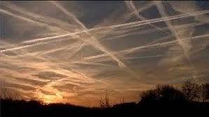 inscription 9ddf3a99934dc01a46ff7cd03981bbbfcfeee6cb7837d0a709f97cdecdcbae54i0