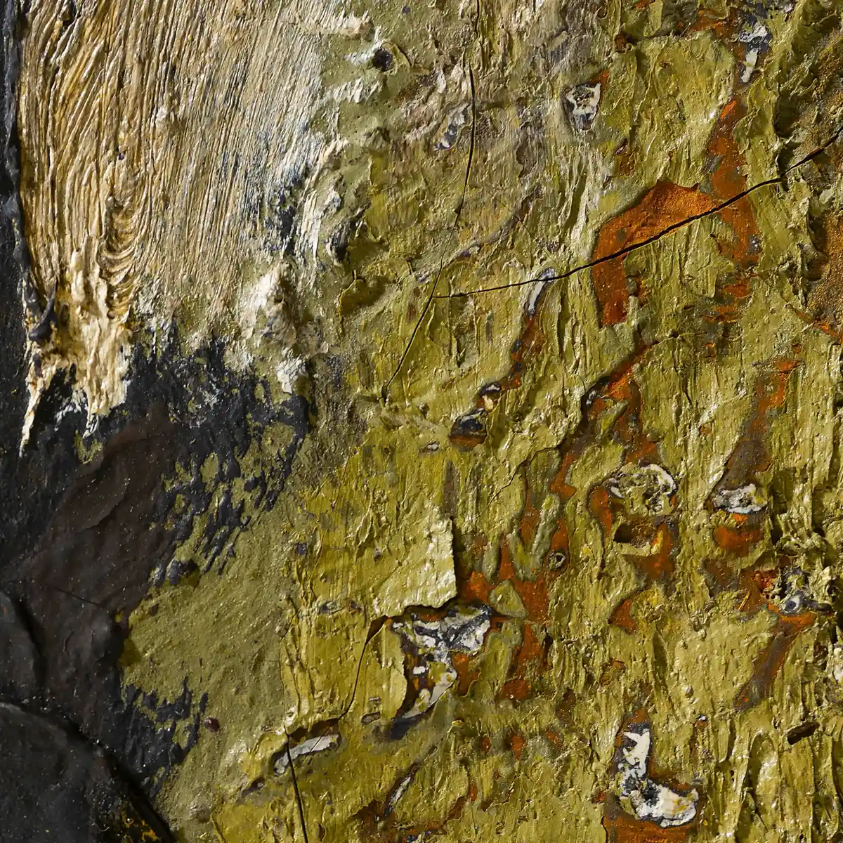 inscription a2a80681d9386b193aa8c6bdbb8b42680a10df924d00d4208e5aa03e29bb824fi0