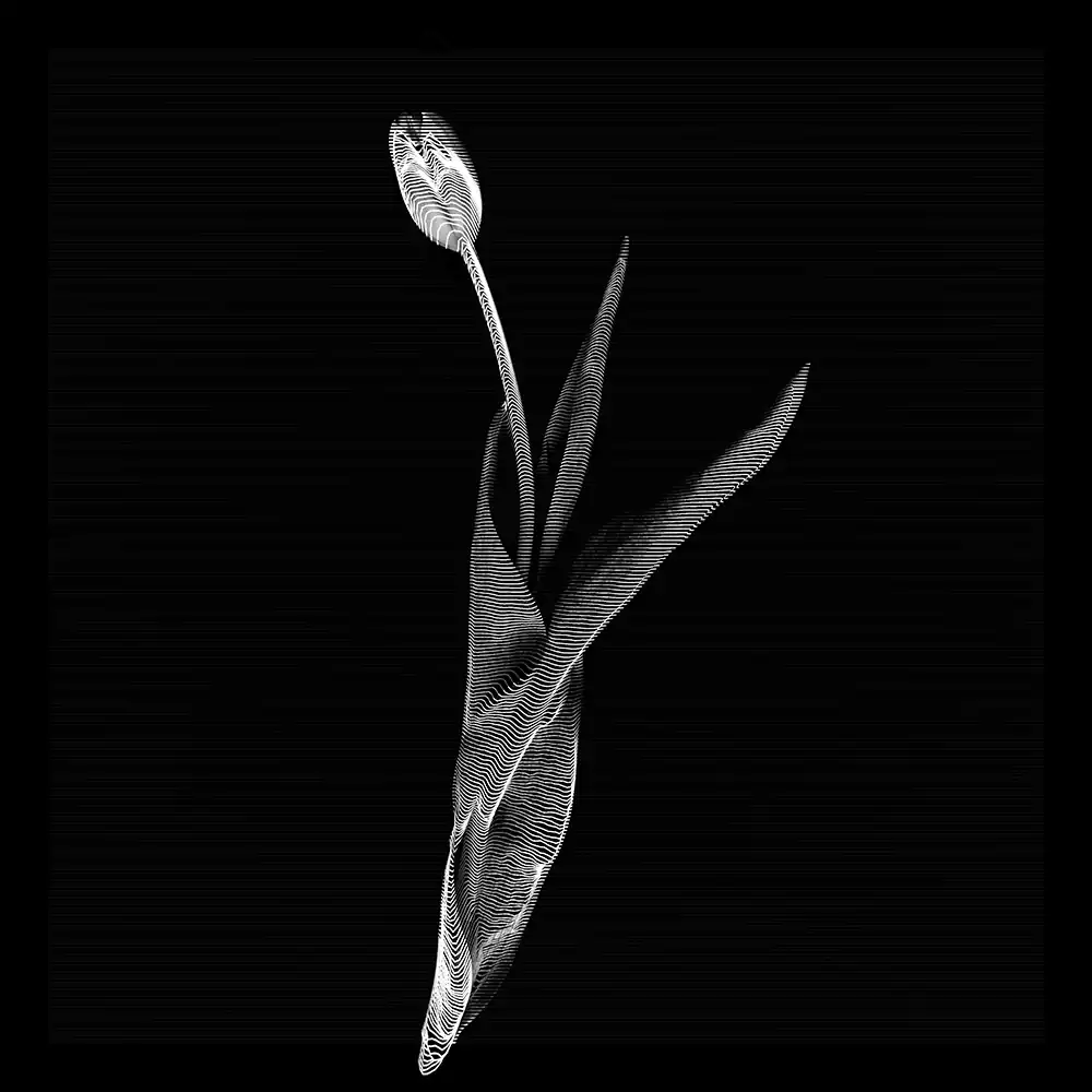 inscription b545aedd1d506c20d82d96bb77d38580fa3f53d3432b37bd44eb5f52c7eeea56i0