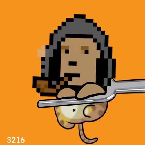 inscription bc2b1eb5c373cf1be70f7ea8549d2334767b5df1145cbf8bcde0ccb5a3469dcdi0