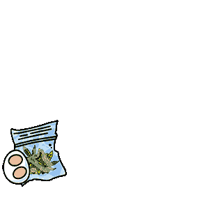 inscription ce60e36db359d0cc9e2e7fedd95d5acf0b03c30ef7166db241d55ccf1394cd76i186