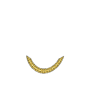 inscription ce60e36db359d0cc9e2e7fedd95d5acf0b03c30ef7166db241d55ccf1394cd76i27