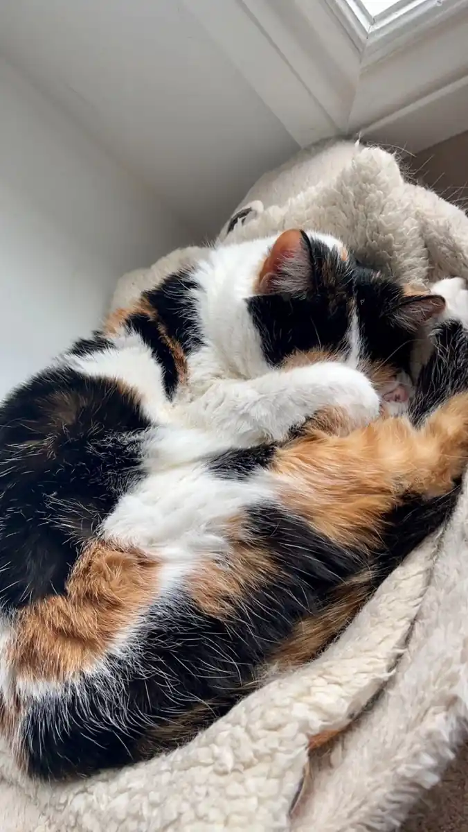 inscription d178b645f7619d1695fd4b4268cc8c2ba4e4455896d59e330c0b04489dad7497i0