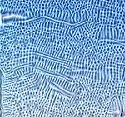 inscription d702e9d52ed640117fcbdfada9bb2a8718fcf968cf7d85db4bc256889937d8d8i0