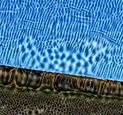 inscription d702e9d52ed640117fcbdfada9bb2a8718fcf968cf7d85db4bc256889937d8d8i4