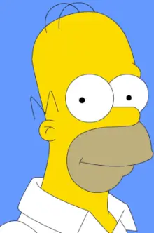 inscription e31a3b3f5b8aaa4f997e2f417f818dff0a9a41dc2c85d6c67d08540fa116a731i0