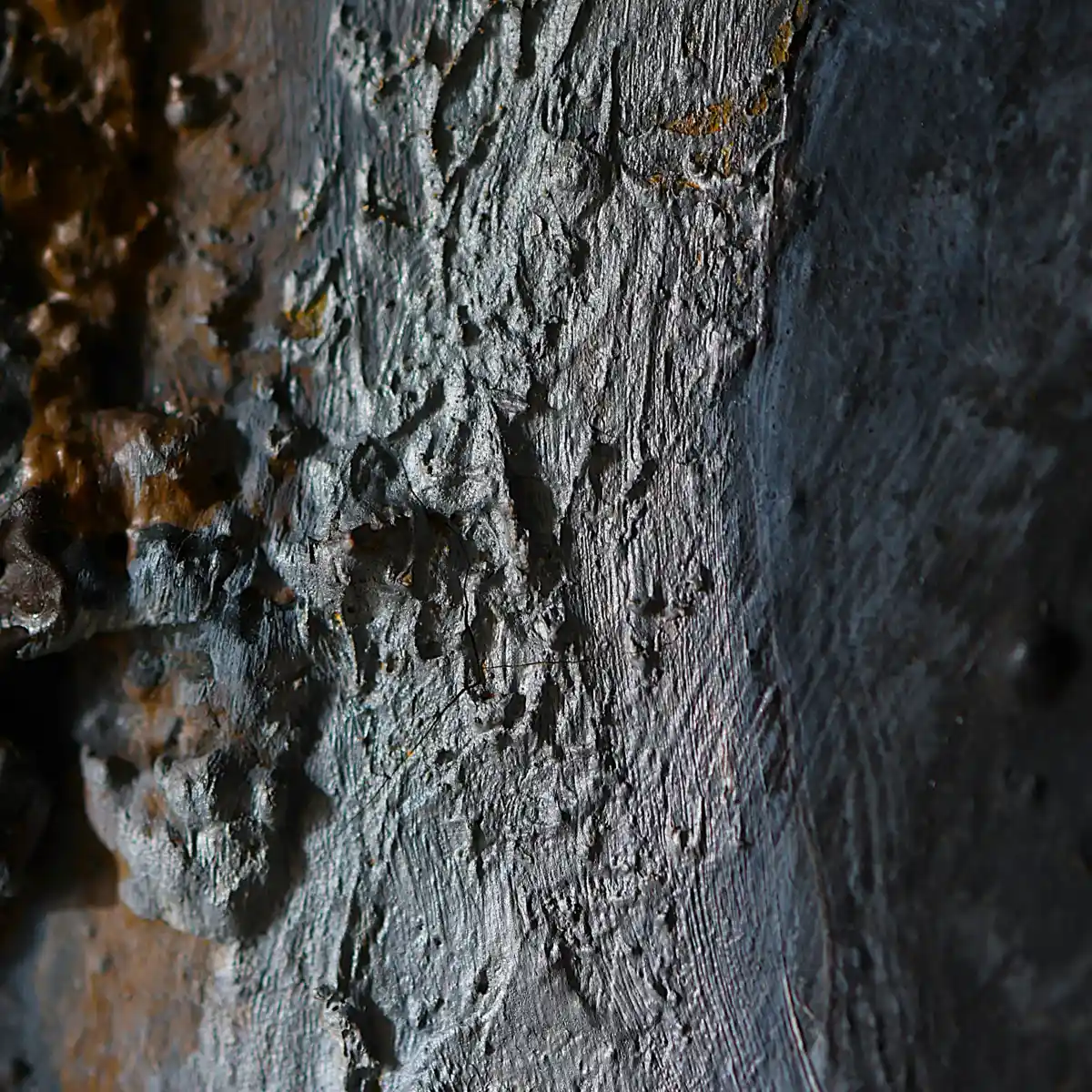 inscription e47310d72fc37b6b49f5a26c5791658dca7c7c6c3762e74dee87c37abca57510i0