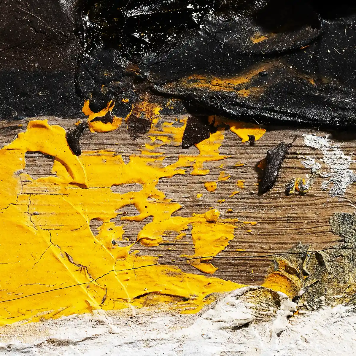 inscription ea2a813b77fae79d83ae94328f3637b6e6463b37c87b01ed02d708da615240e3i0