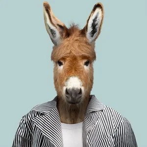 inscription f97e8da02454dfba606420589da4e2599448df94f10d6b3bcdb2bd5b8bea6b97i0