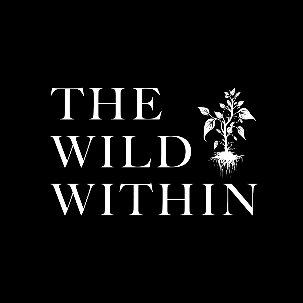 inscription fde4f45c1bbe29cd200f747d796d7e42e40ec221fbe0e9f71dcc6b6e532bfa7fi0